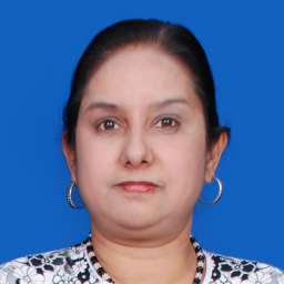 Lakshmi Narayanan headshot